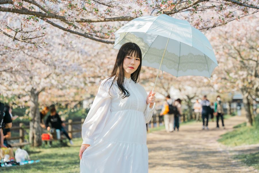 桜撮影会の様子