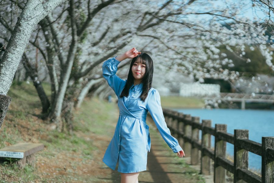 桜フォトウォークの様子